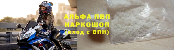 прущие грибы Наволоки