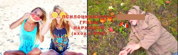 мяу мяу мука Надым