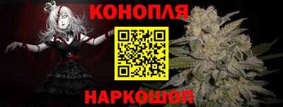 ALPHA PVP Гатчина
