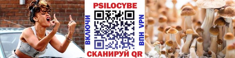 как найти закладки  Ессентуки  Псилоцибиновые грибы мицелий 