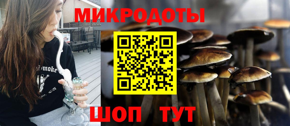 Галлюциногенные грибы Cubensis  где купить наркоту  Ессентуки 