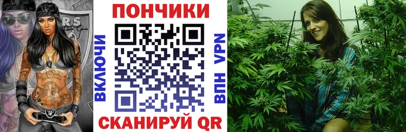 Каннабис гибрид  Ессентуки 